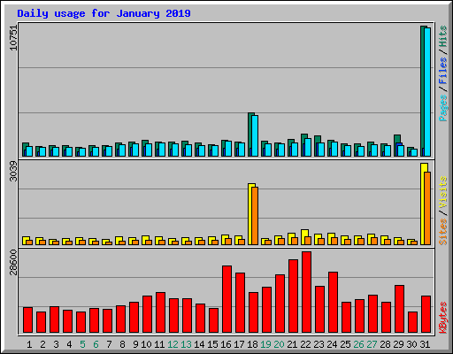 Daily usage for January 2019