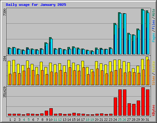 Daily usage for January 2025