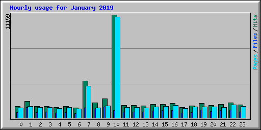 Hourly usage for January 2019