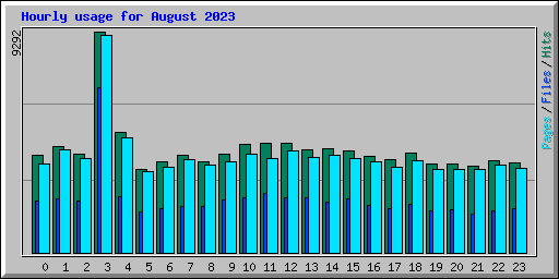Hourly usage for August 2023