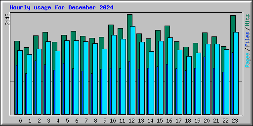 Hourly usage for December 2024