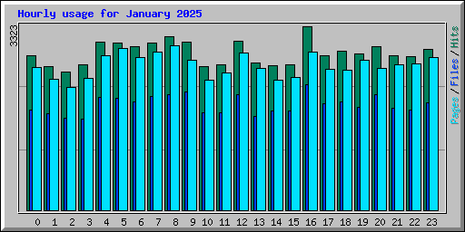 Hourly usage for January 2025