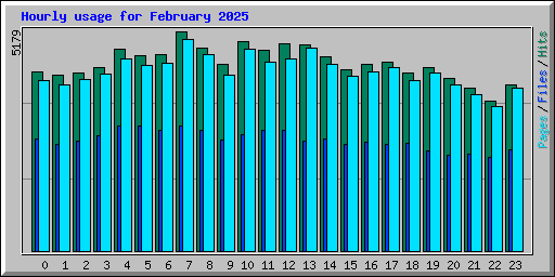 Hourly usage for February 2025