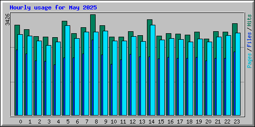 Hourly usage for May 2025