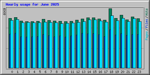 Hourly usage for June 2025