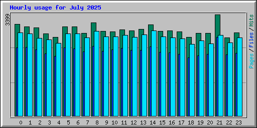 Hourly usage for July 2025