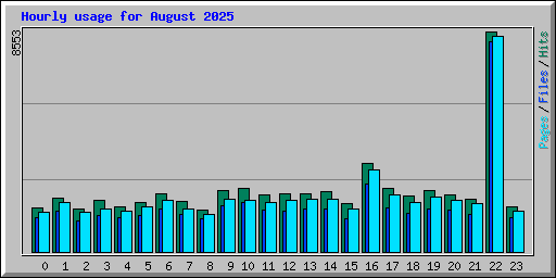 Hourly usage for August 2025