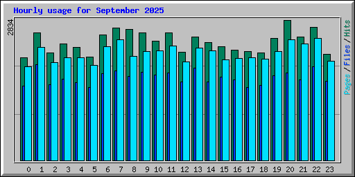 Hourly usage for September 2025