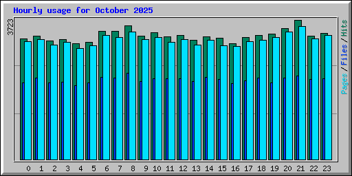 Hourly usage for October 2025