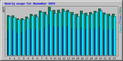 Hourly usage for November 2025