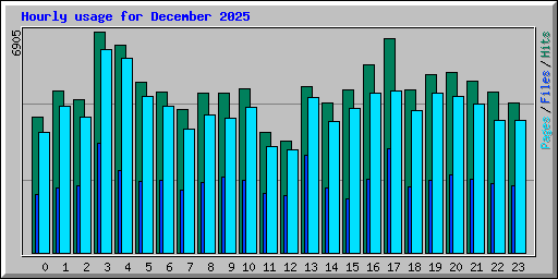 Hourly usage for December 2025