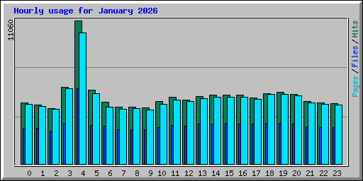 Hourly usage for January 2026