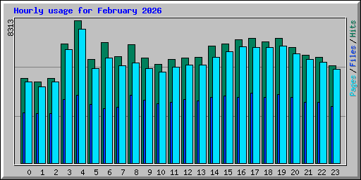 Hourly usage for February 2026